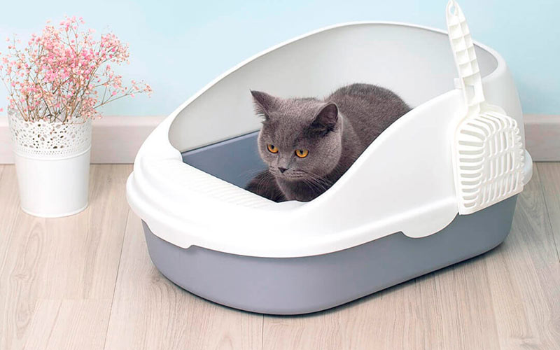 Лоток Semi-open cat litter фото