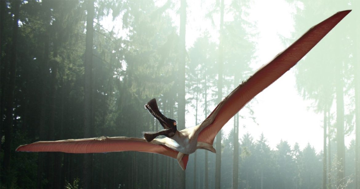 Динозавр иллюстрация