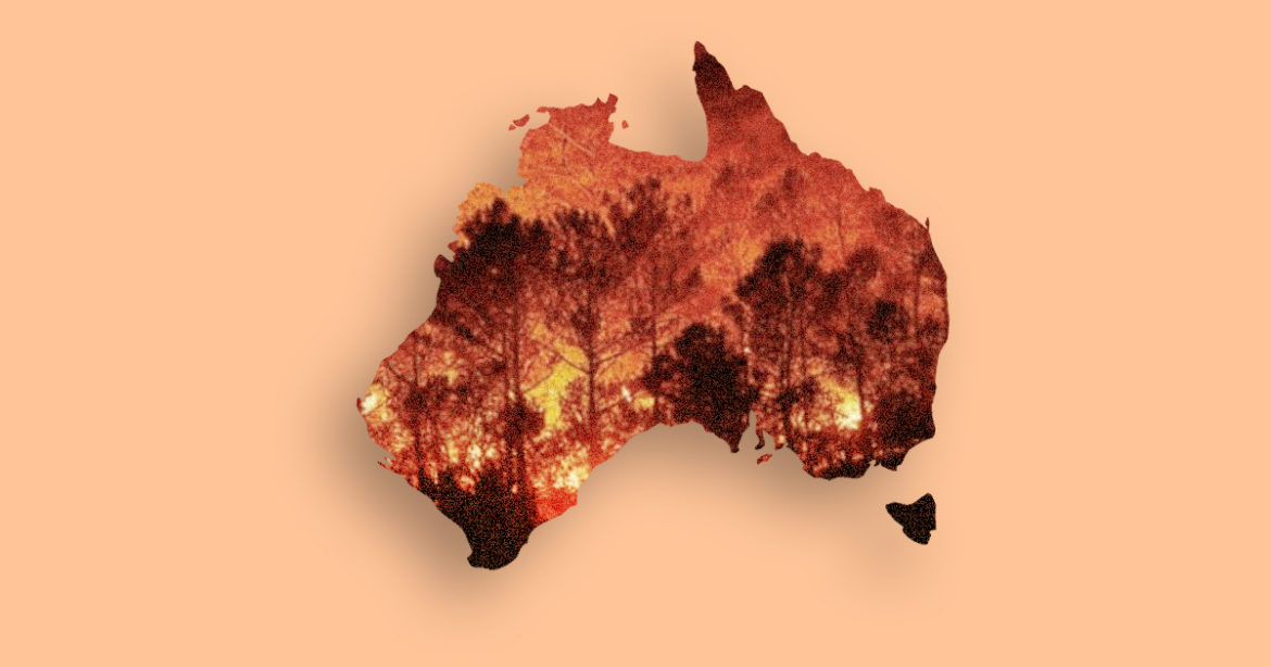 Горящая Австралия иллюстрация