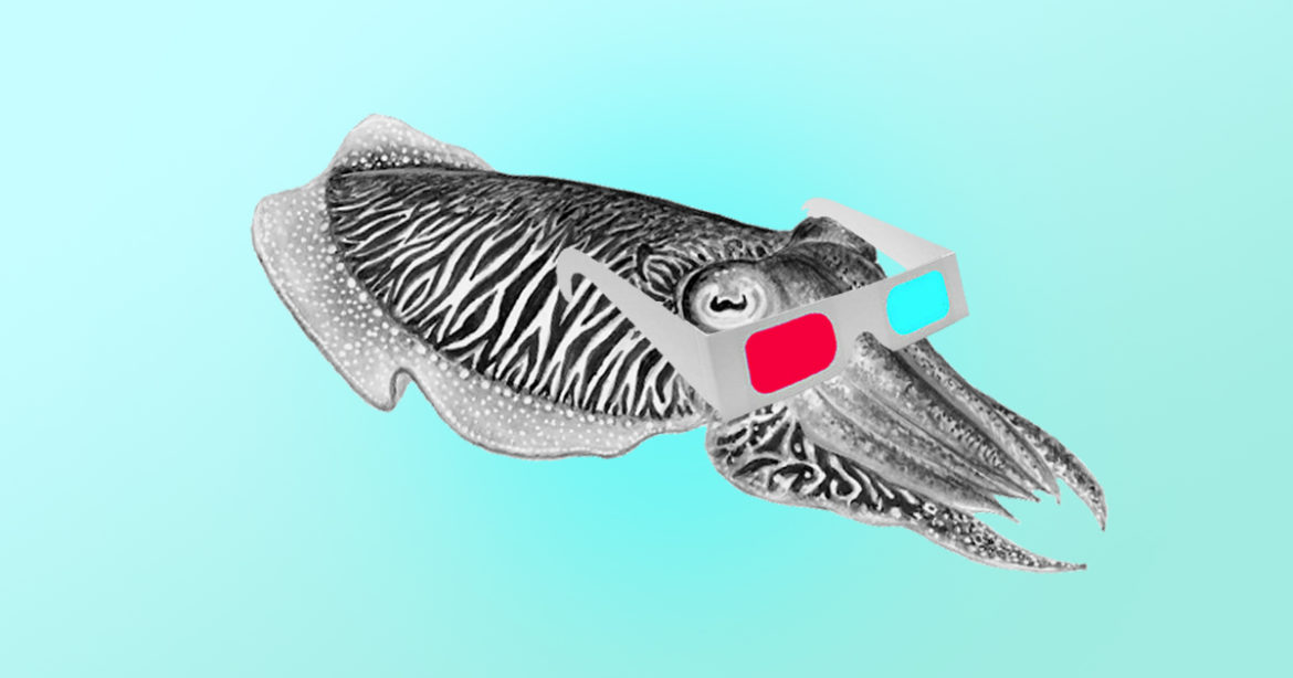 Каракатицы в 3D-очках иллюстрация