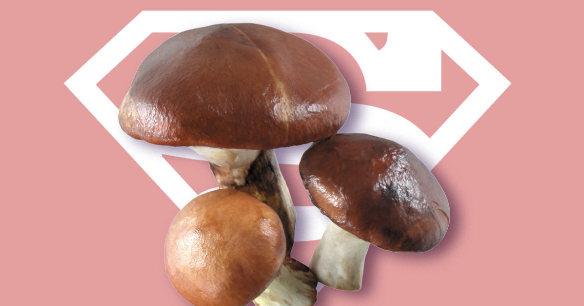 Грибы спасают мир фото