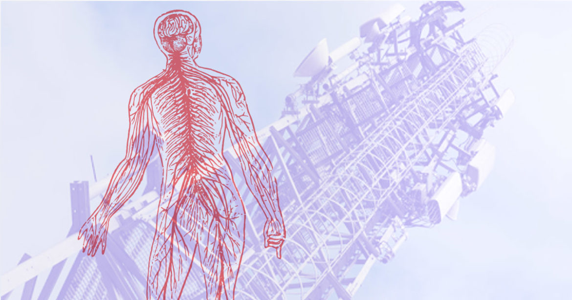 Влияние 5G на организм человека